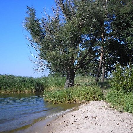 Fischerhaus Godewind 60 Qm Altwarp Dış mekan fotoğraf